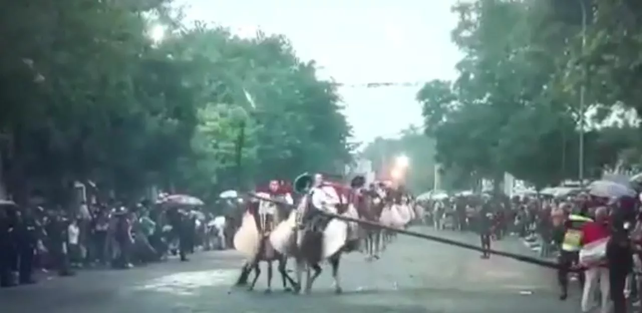 a2d78527-d7ab-45dc-8144-670e96ee43d7