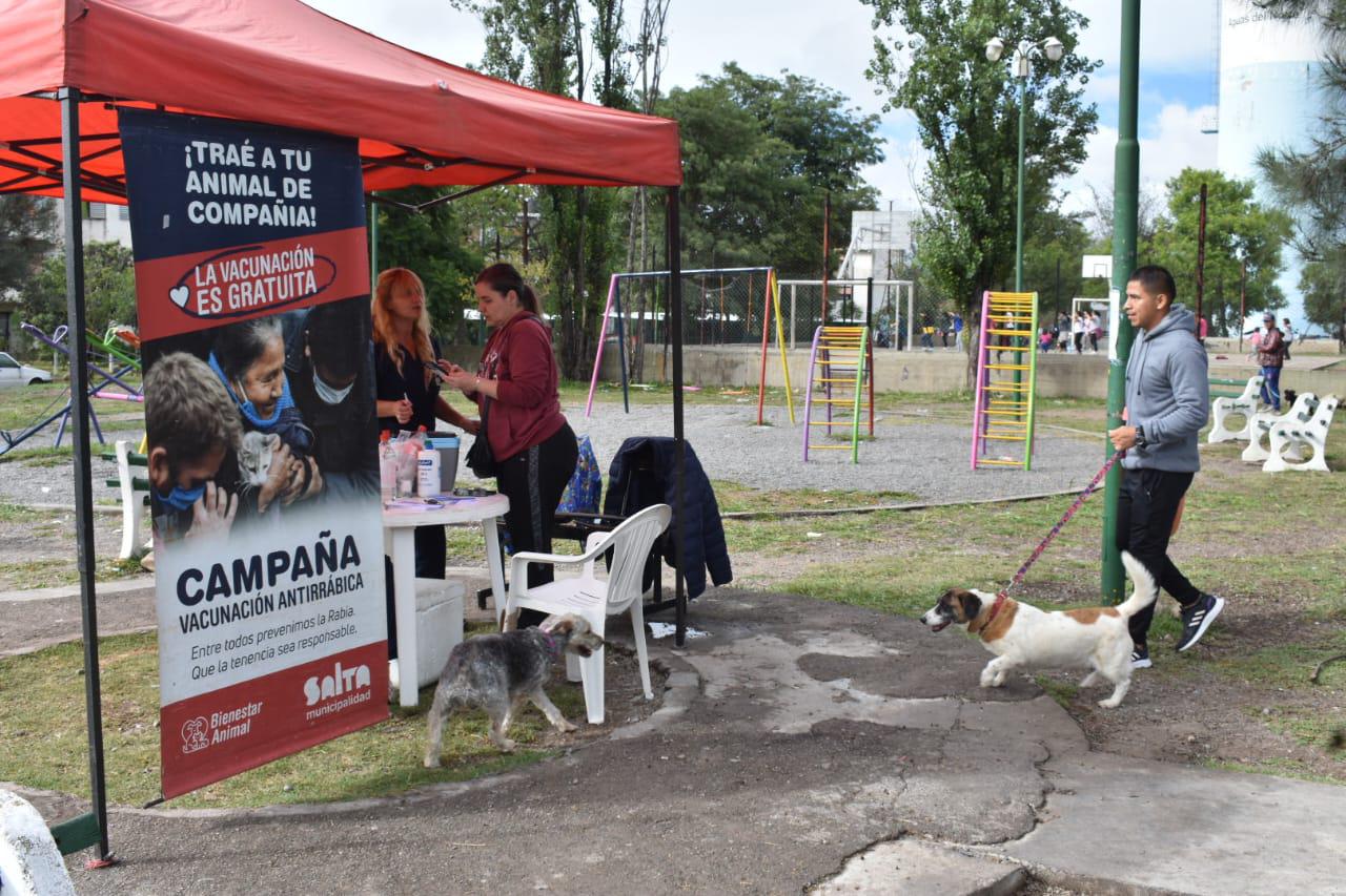 vacunacion-antirrabica-20