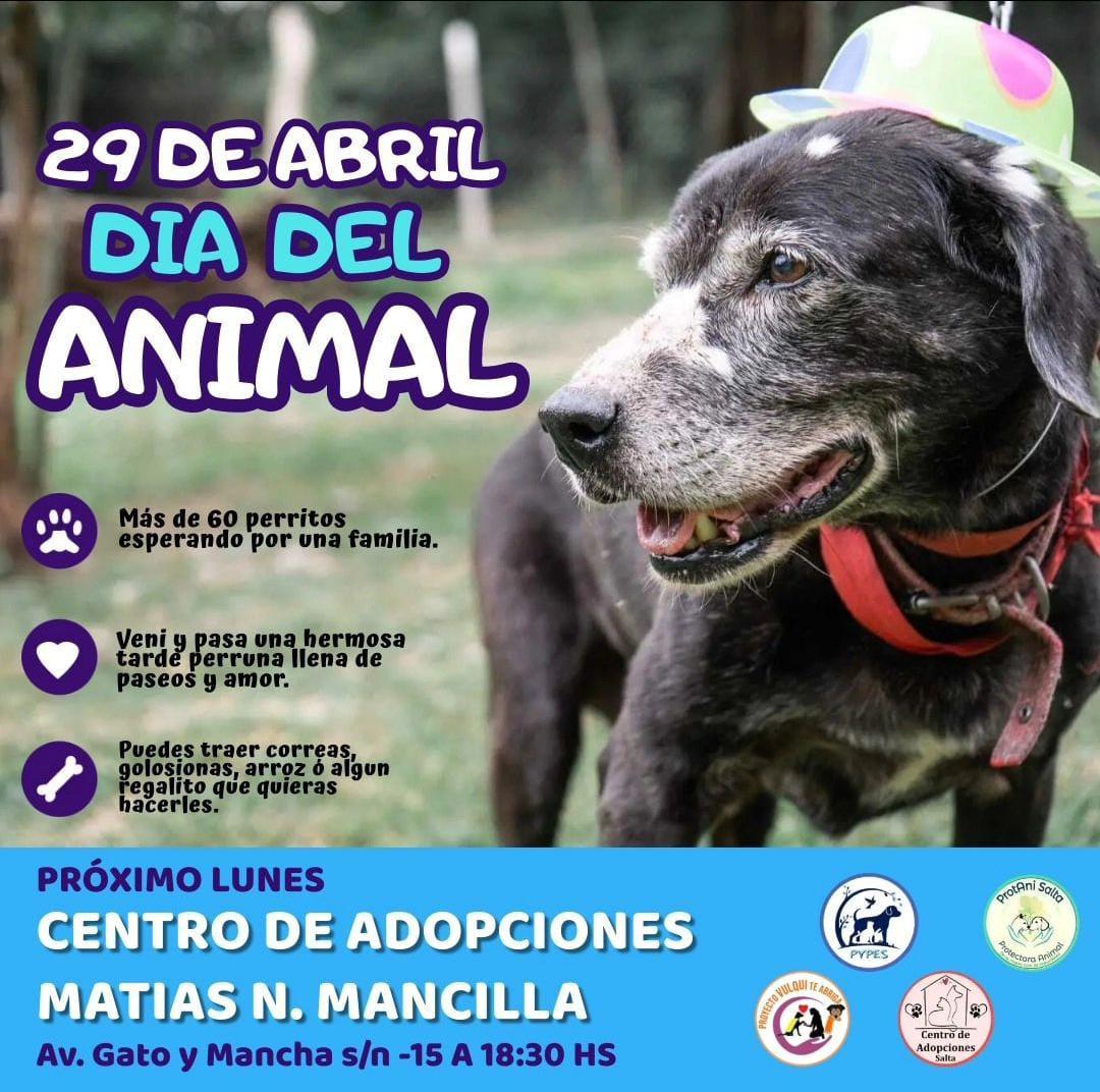 WhatsApp Image 2024-04-29 at 07.50.32