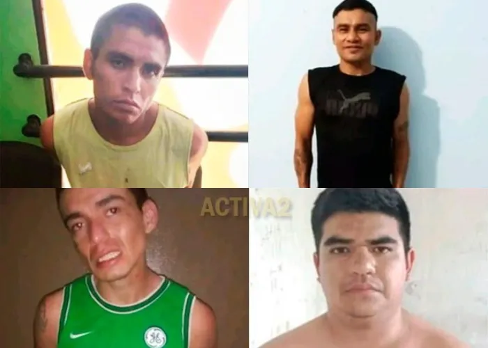 multimedia.normal.8b948885dedf5f53.V2hhdHNBcHAgSW1hZ2UgMjAyNS0wMS0wNyBhdCAwNy5fbm9ybWFsLndlYnA=