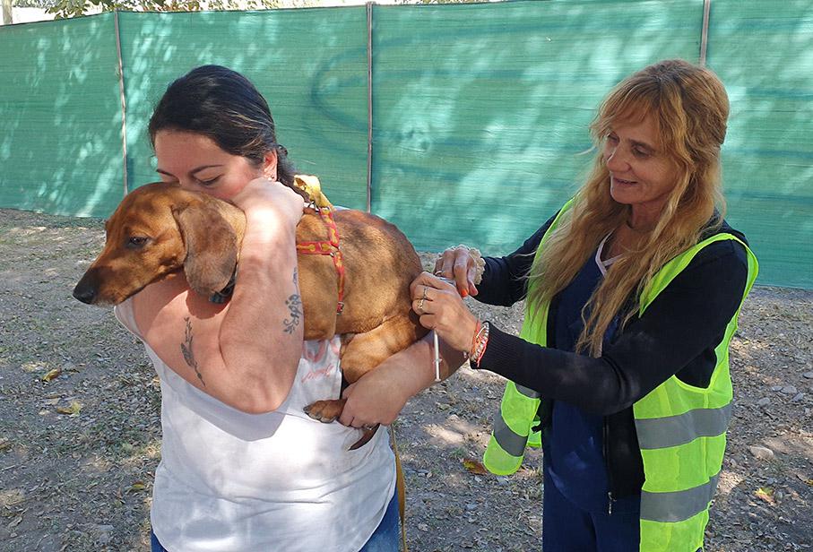 vacunacion-en-circulo-iv-11