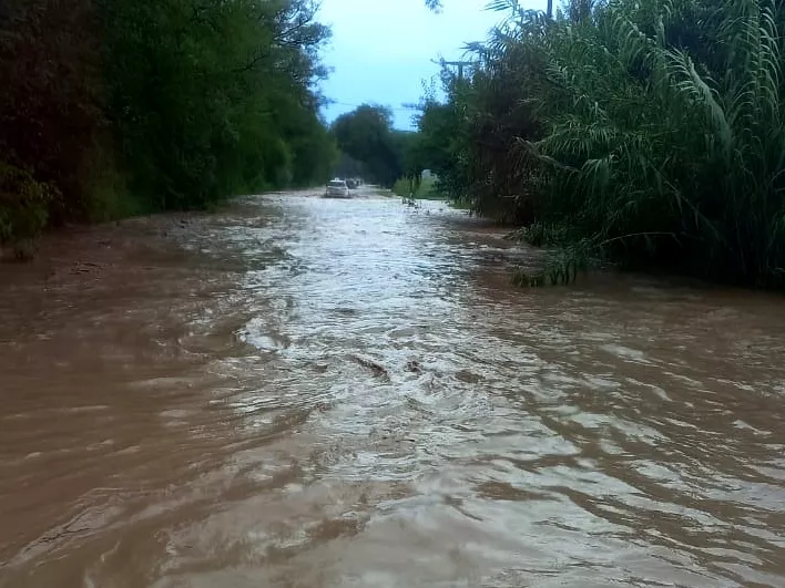 multimedia.normal.a5a3321e3a1ff9ca.525554412036385f6e6f726d616c2e77656270