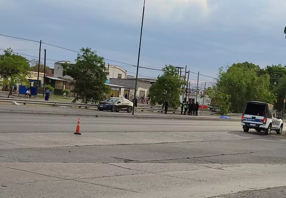 WhatsApp Image 2022-11-20 at 20.12.57