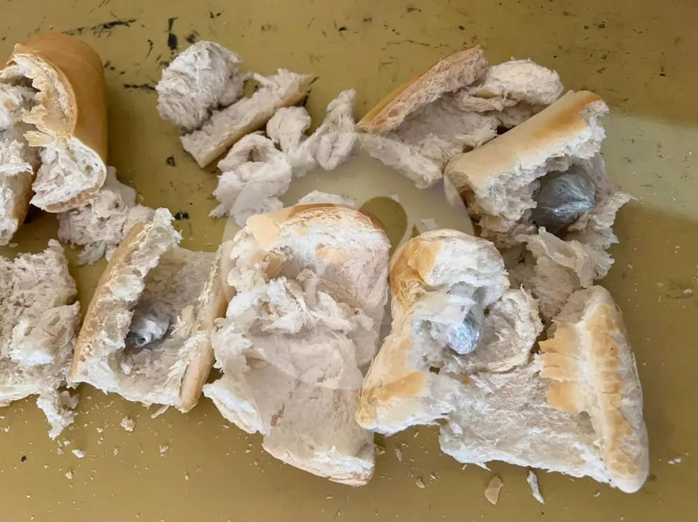 WhatsApp Image 2025-01-17 at 10.27.21 AM