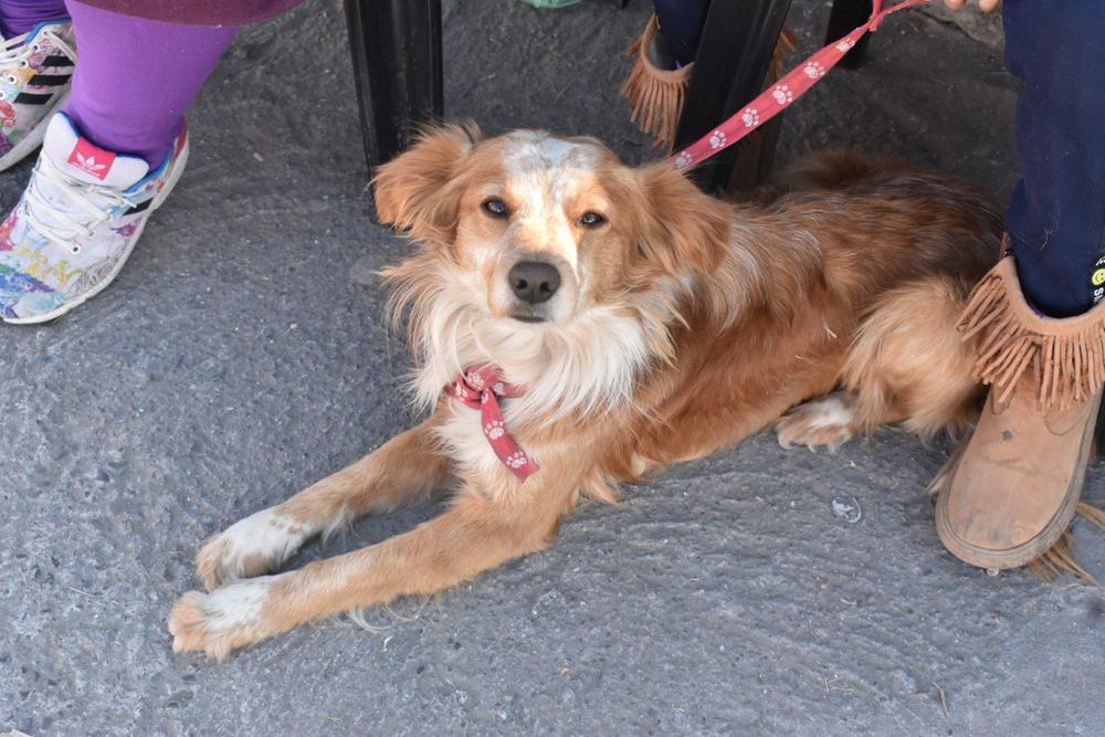 movil-quirurgico-villa-chartas-5-1536x1024