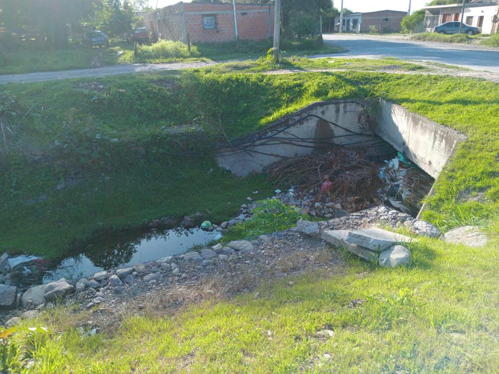 WhatsApp Image 2024-01-31 at 08.40.44