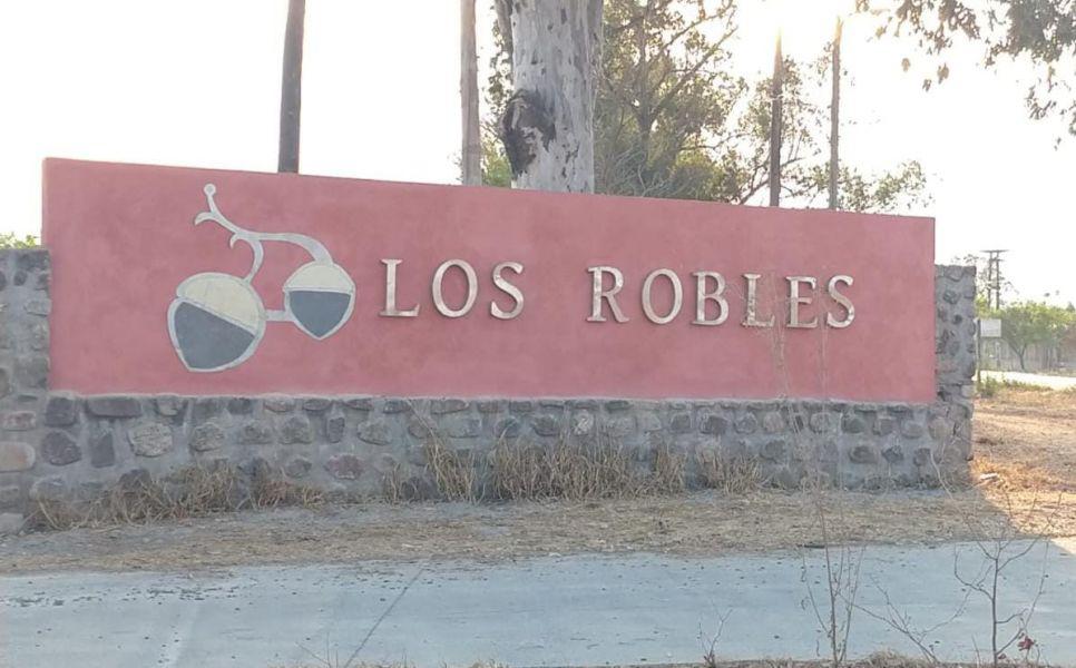 WhatsApp Image 2024-02-05 at 08.11.16