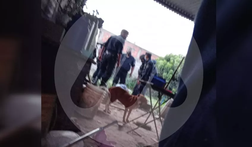 multimedia.normal.aaa183bfde5476c5.77656231385f6e6f726d616c2e77656270