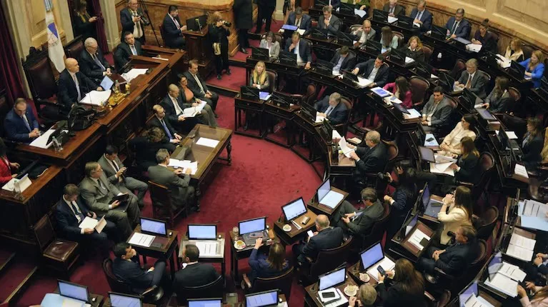el-principal-proyecto-que-se-debatira-en-el-senado-sera-la-reforma-de-la-ley-de-salud-mental-foto-na-LFSYROPFJVG3DEIEBZSGHYUO3U