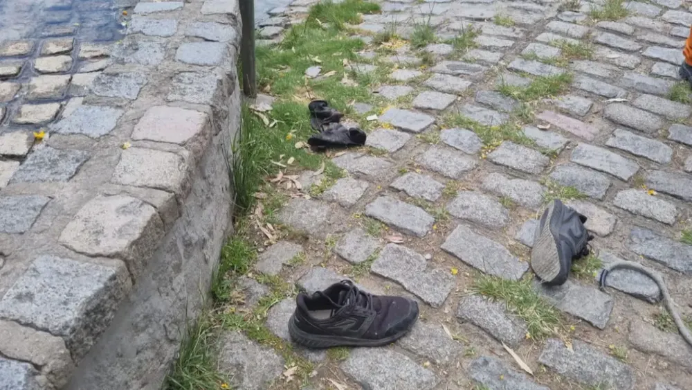 WhatsApp Image 2024-12-11 at 7.41.51 AM (1)