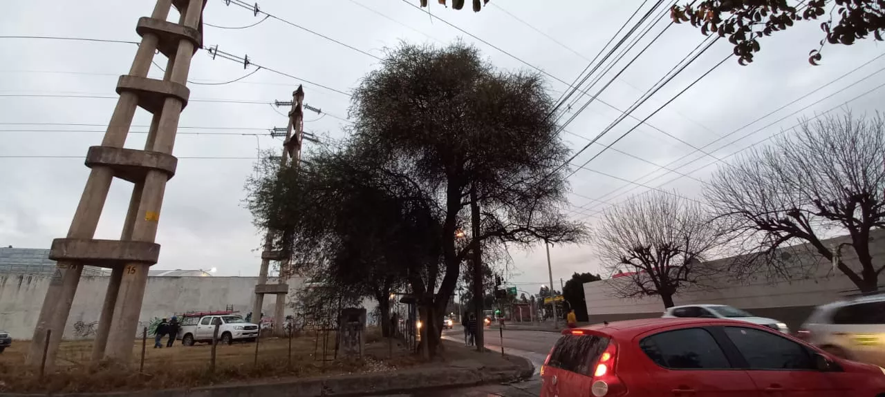 WhatsApp Image 2022-08-09 at 7.58.57 AM