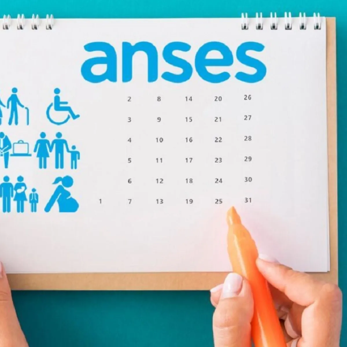 anses_calendario.jpg_792575817