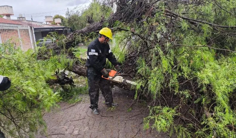 noticia 5 incidentes por la lluvia