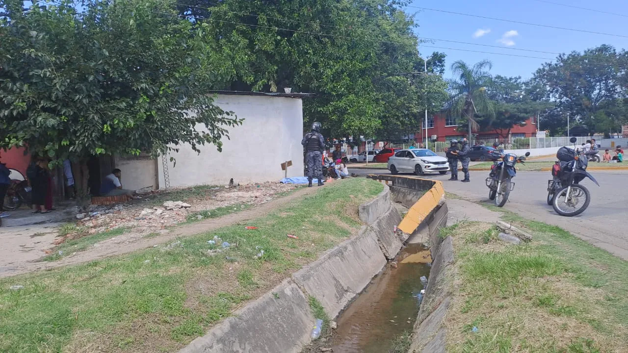 WhatsApp Image 2025-01-22 at 10.49.15 AM