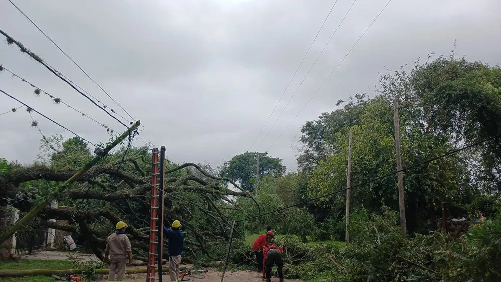 multimedia.normal.a7fc80e04184a042.bm9ybWFsLndlYnA=