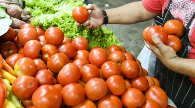 Tomate