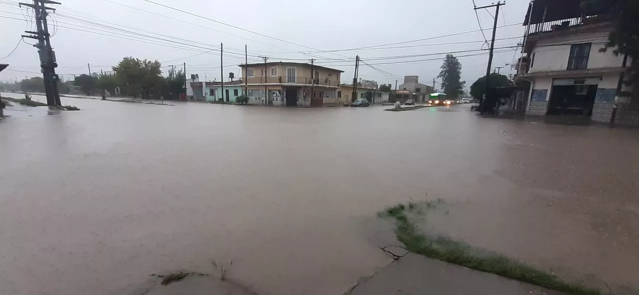 WhatsApp Image 2022-03-10 at 08.51.55