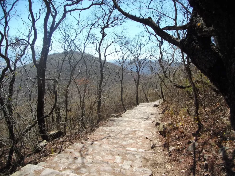 Escalinata-Cerro-San-Bernardo