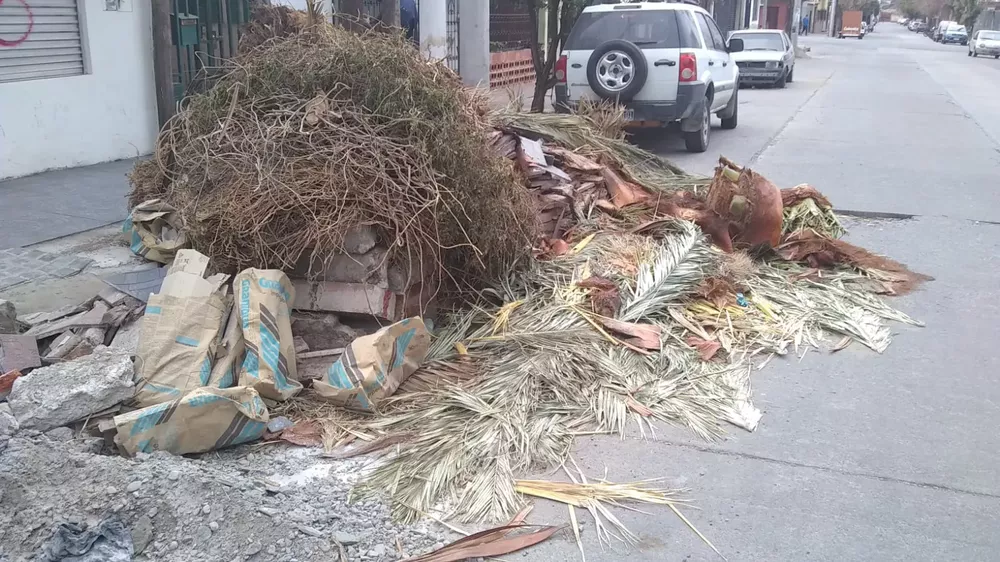 WhatsApp Image 2022-07-28 at 9.37.27 AM