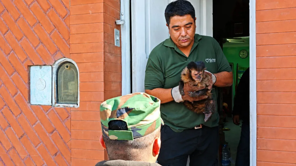 rescate-monito-1-1024x576