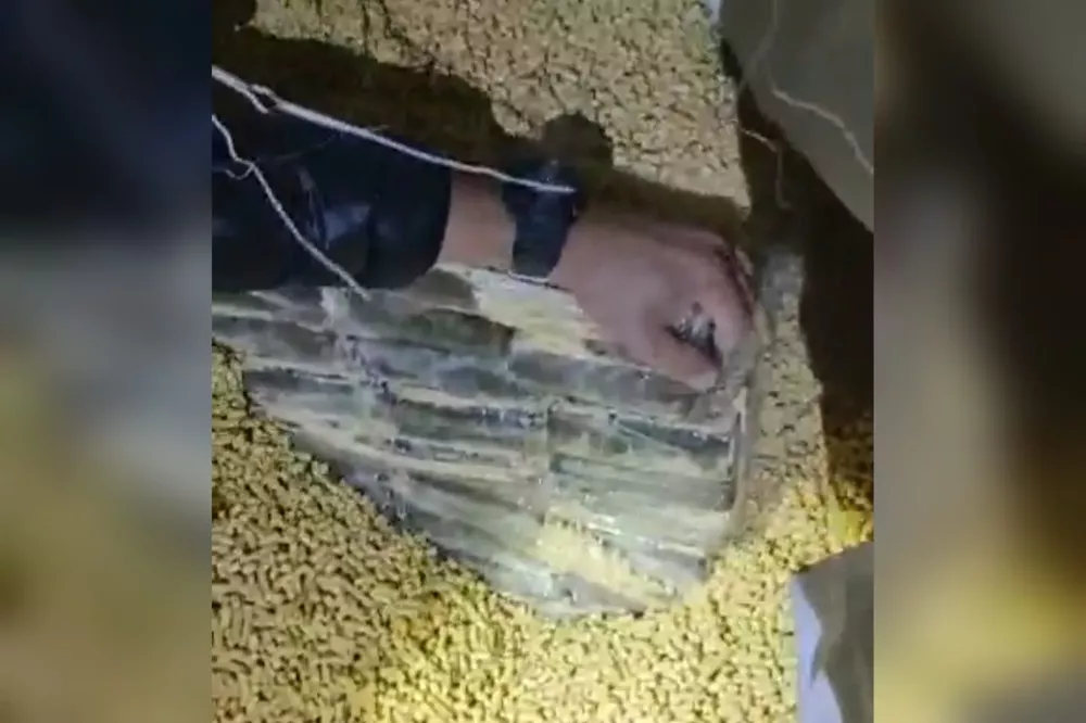 WhatsApp Image 2022-08-26 at 10.41.27 AM