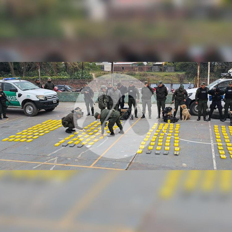 WhatsApp Image 2024-07-11 at 8.30.11 AM