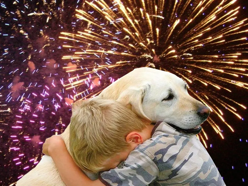 Pirotecnia-Arrecifes