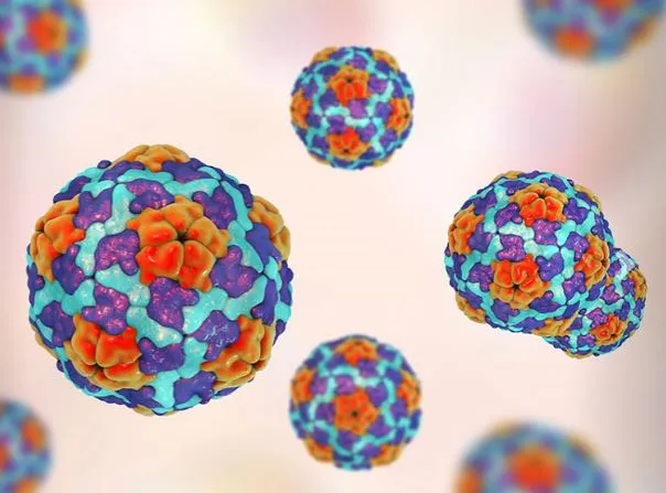 NOTICIA 6 HEPATITIS A7