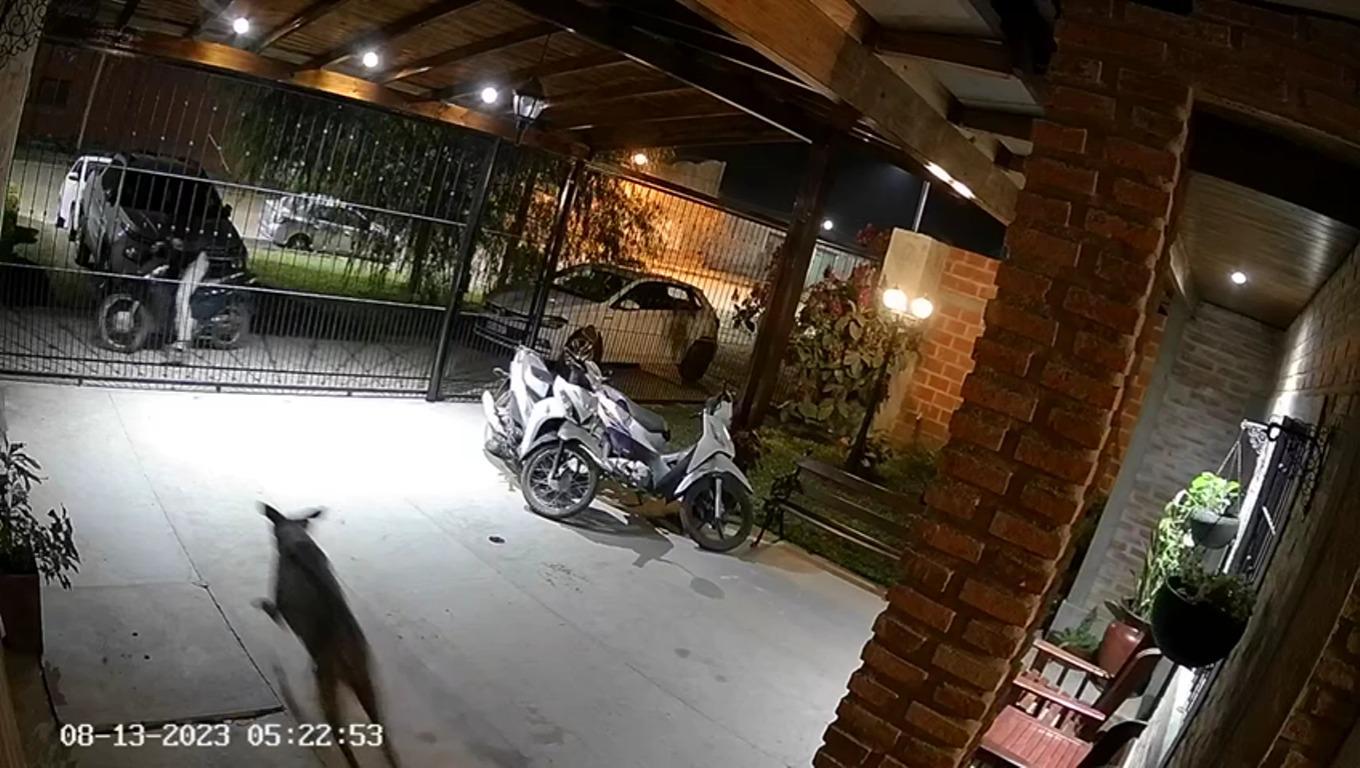 multimedia.normal.9166790af92d2bf5.V2hhdHNBcHAgSW1hZ2UgMjAyMy0wOC0xNCBhdCAwOC5fbm9ybWFsLmpwZWc=