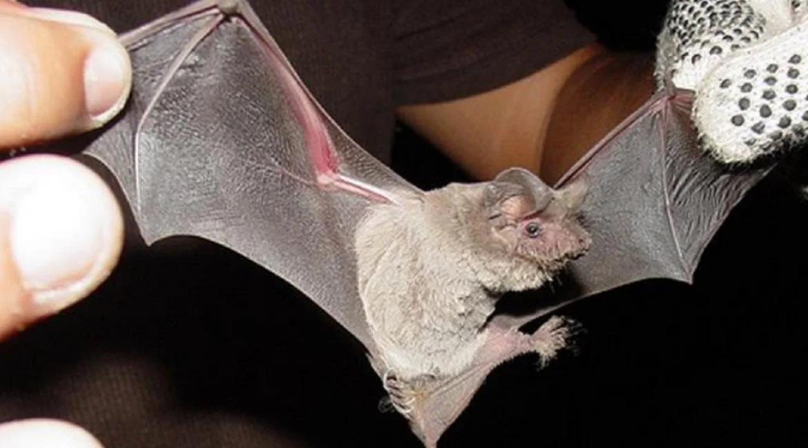 JADKJTX3S5AWZPOBIEKXWN54P4