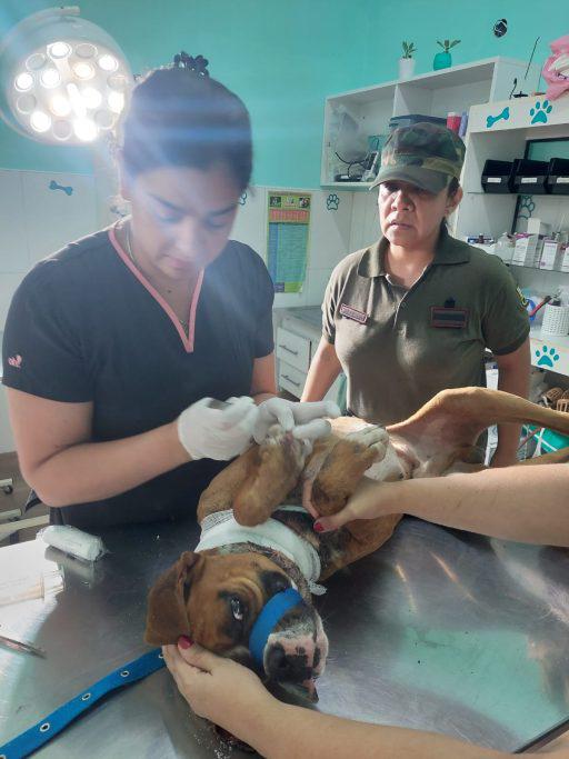 WhatsApp-Image-2024-01-03-at-15.10.33-512x683