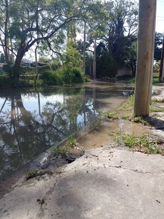 WhatsApp Image 2023-01-16 at 09.50.48