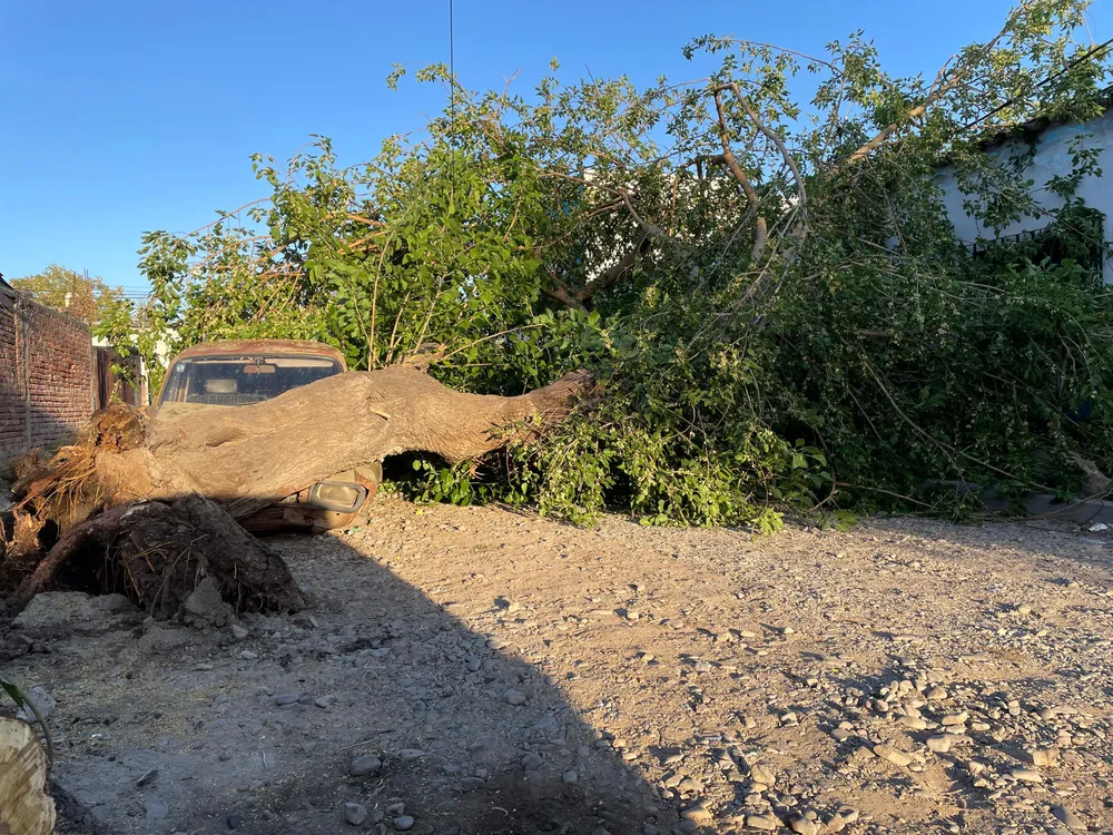 WhatsApp Image 2025-10-02 at 07.45.08