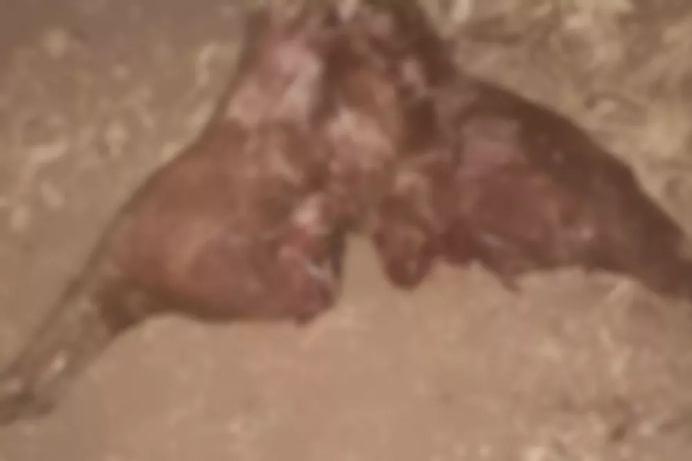 InShot_20220926_161944329