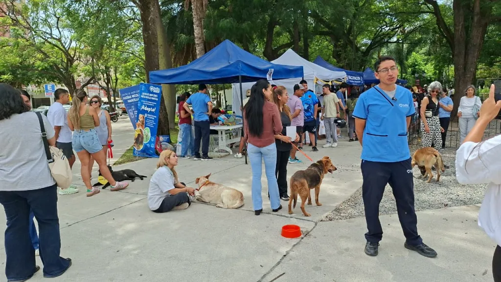 jornada-de-adopcion-plaza-alvarado-7-1024x576