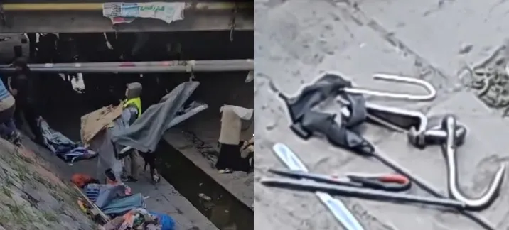 multimedia.normal.a1f9b0fe71dae2be.bm9ybWFsLndlYnA=