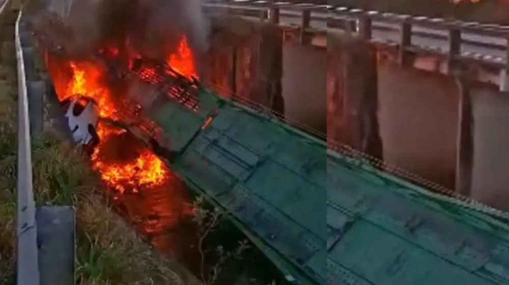 https___thumbs.vodgc.net_1-14-X4Cp521757458315430-1757459872