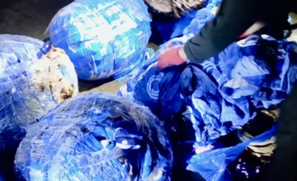 imagen_2024-04-29_091758966