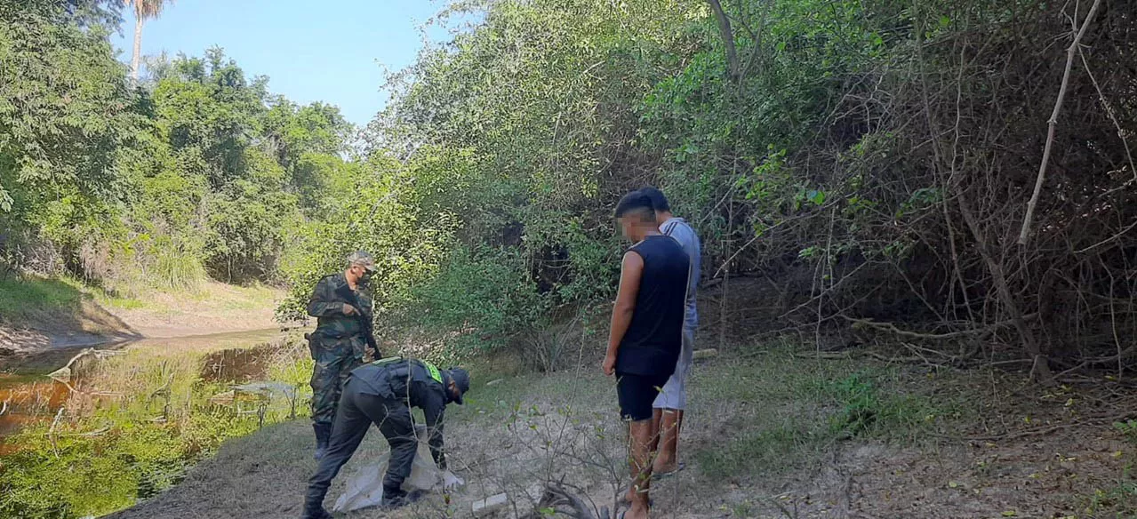 marihuana gendarmeria nac