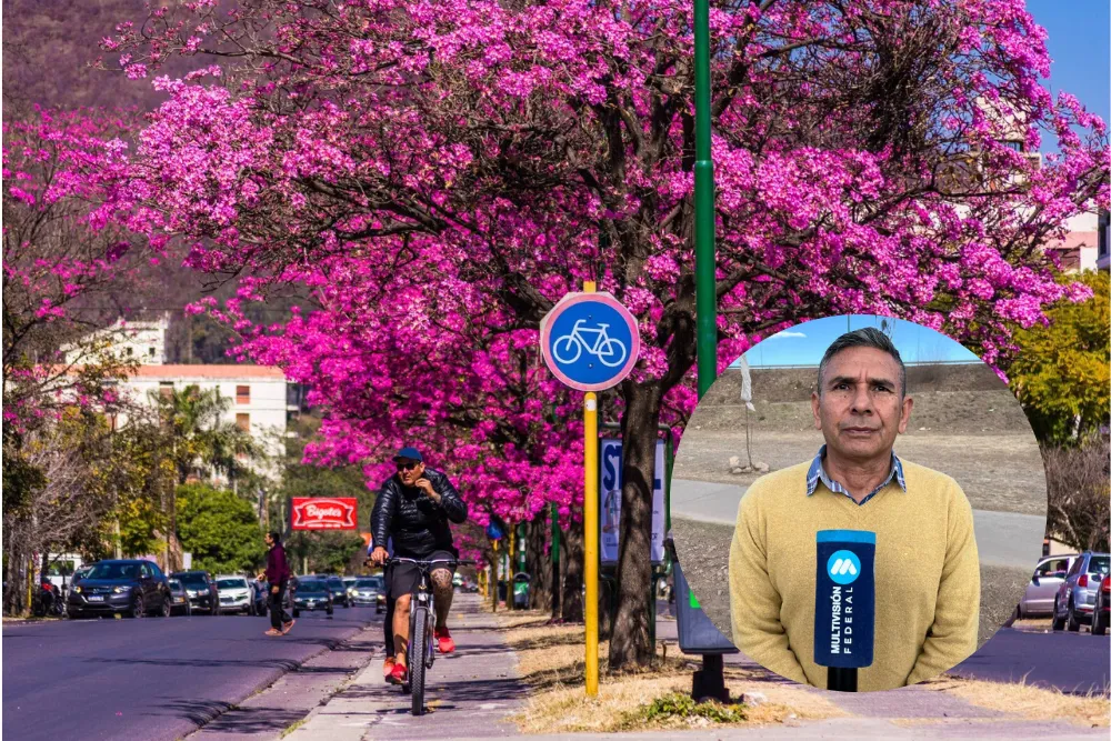 Diseño sin título (5)