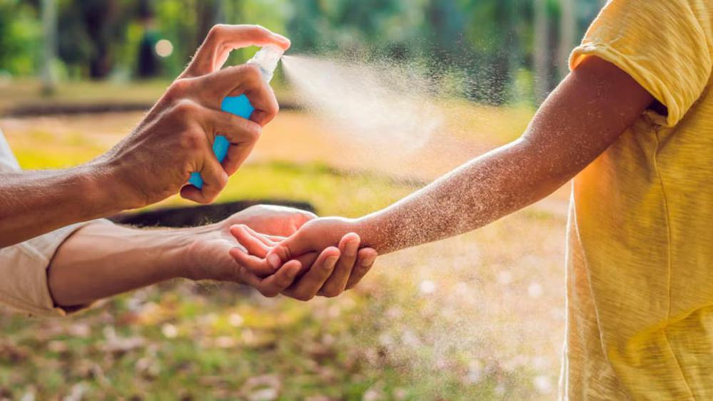 WhatsApp Image 2024-07-10 at 8.32.19 AM