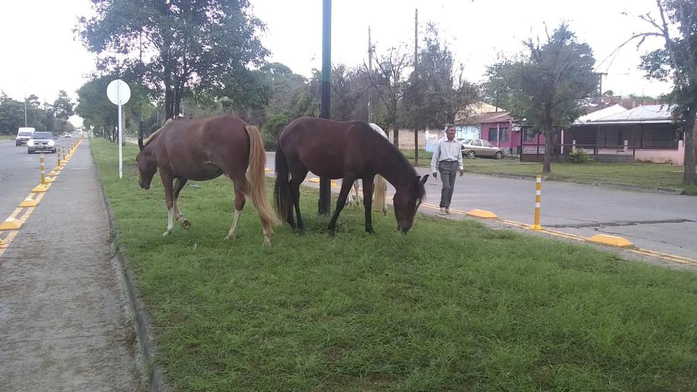 WhatsApp Image 2023-03-28 at 08.18.16