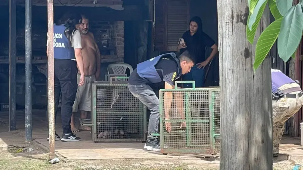 tras-el-ataque-la-policia-retiro-los-perros-en-jaulas-del-lugar-foto-gentileza-el-doce-GVCIF4AUNRC4TDB3ELQZA65NJA