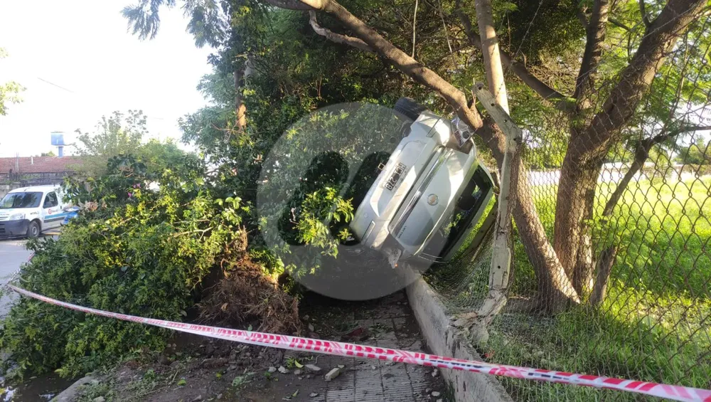 WhatsApp Image 2025-01-13 at 8.18.24 AM