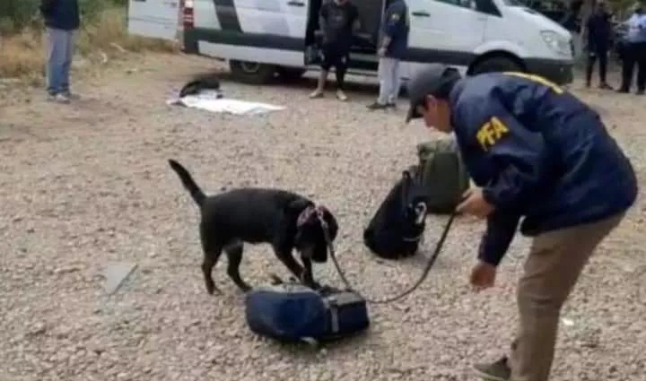 WhatsApp Image 2022-09-07 at 06.45.20