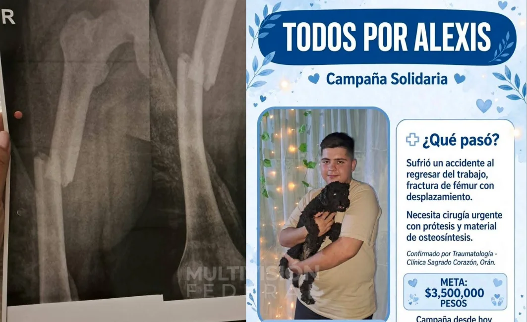 web  (21)