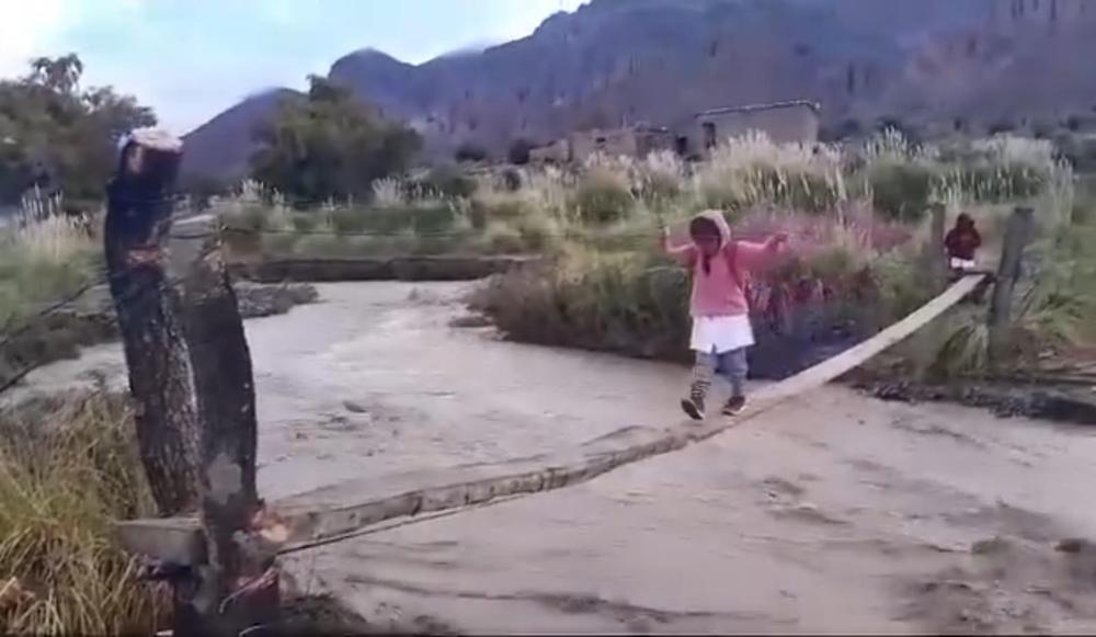 WhatsApp Image 2024-03-11 at 09.45.58