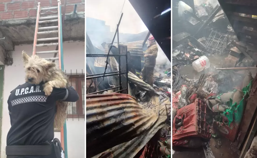 65d66cbad1d09__993x610