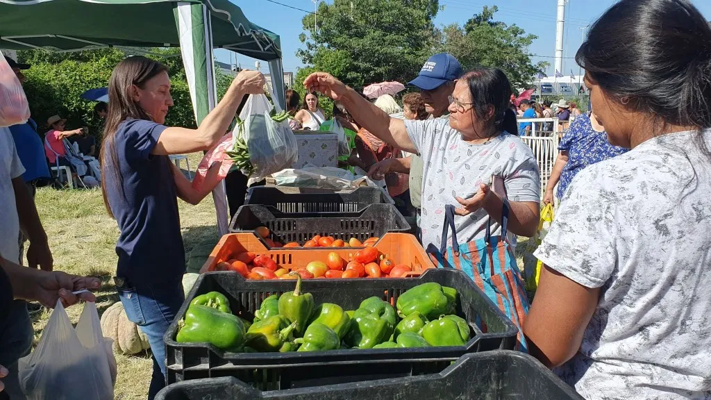 el-mercado-en-tu-barrio-17-1024x576