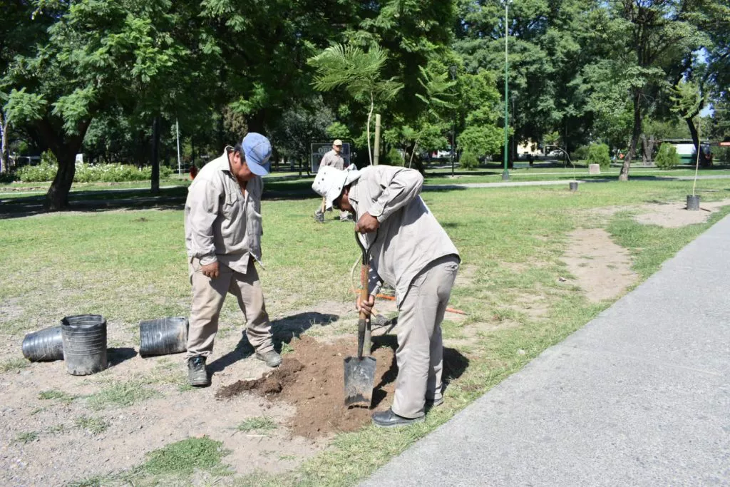 microbosque-avda-Yrigoyen-3-1024x683